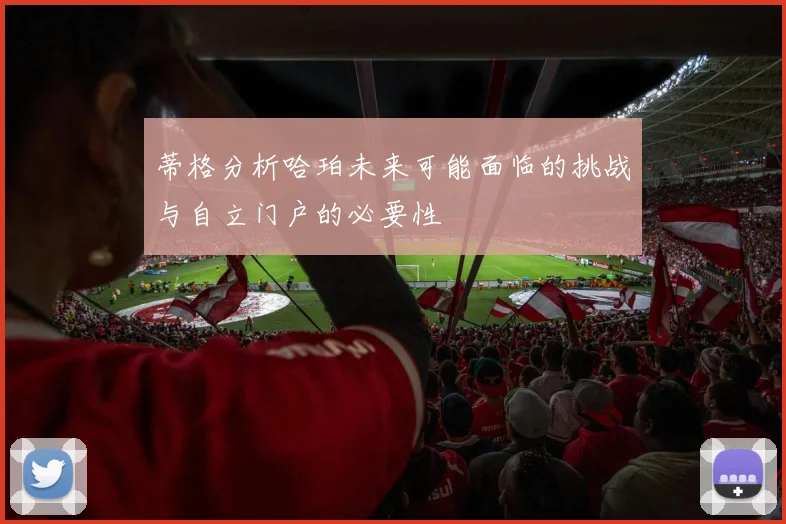 蒂格分析哈珀未来可能面临的挑战与自立门户的必要性